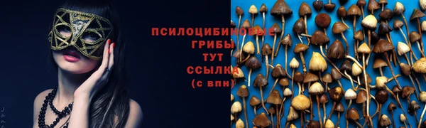 скорость Володарск