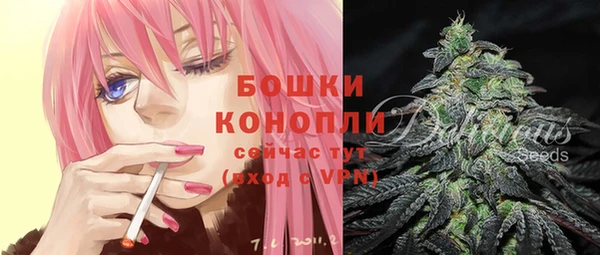 гидропоника Горняк