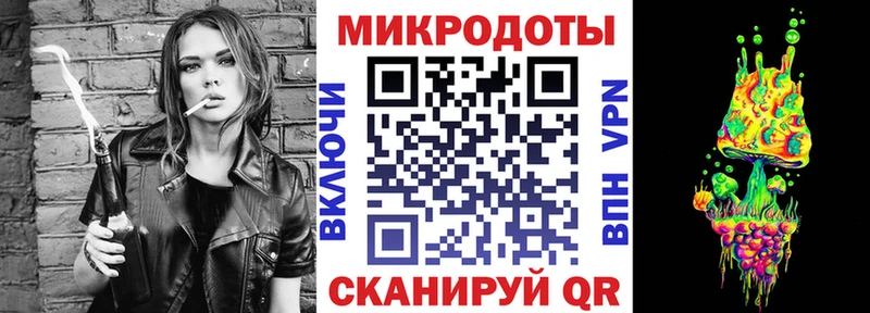 как найти   Ейск  Псилоцибиновые грибы Psilocybe 